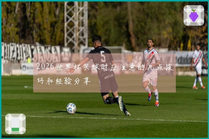 2026世界杯买球时应注意的几点技巧和经验分享
