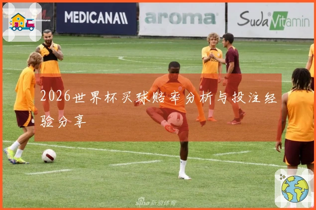 2026世界杯买球赔率分析与投注经验分享